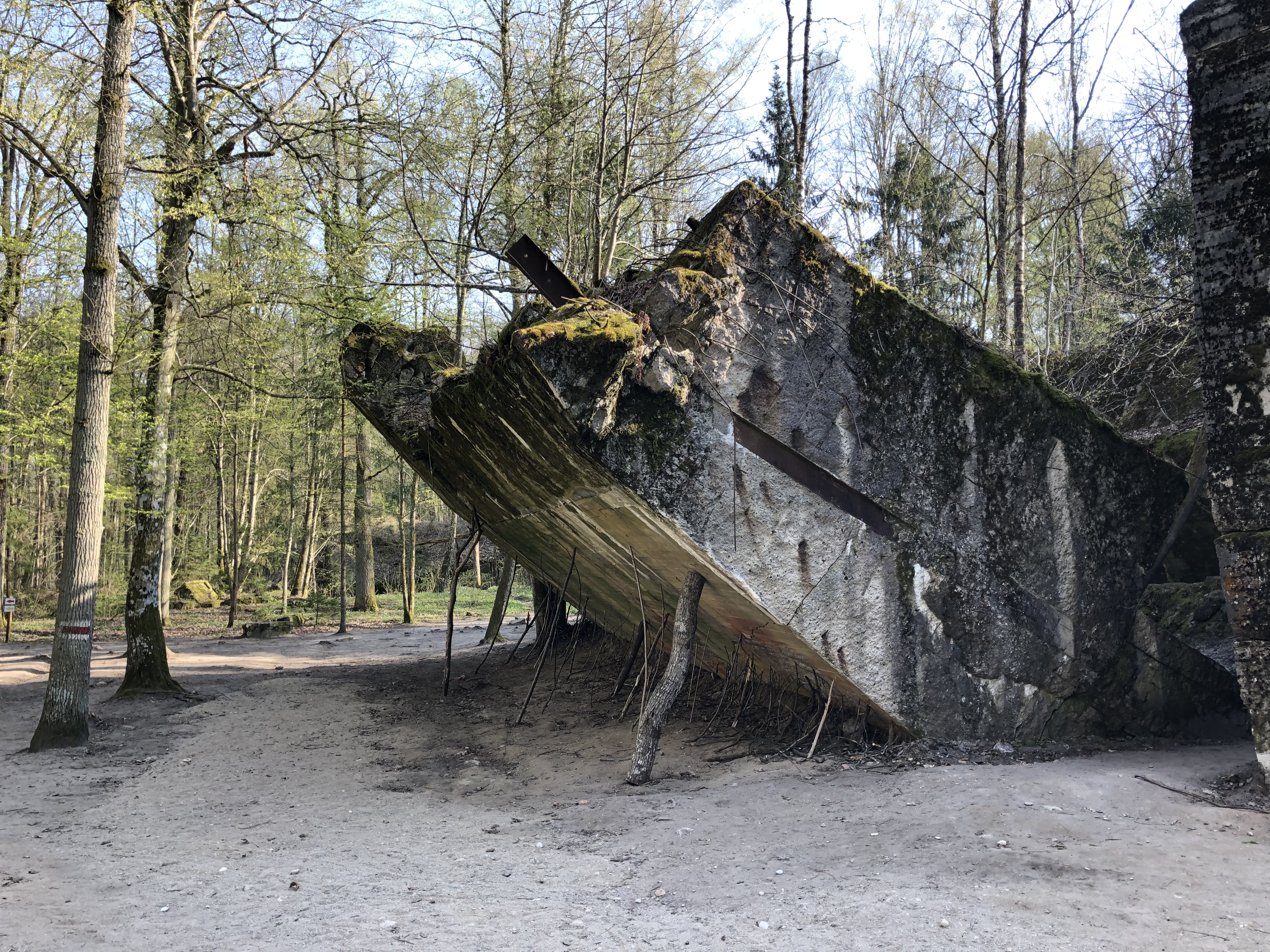 Wolfsschanze Polen Traneurotrail