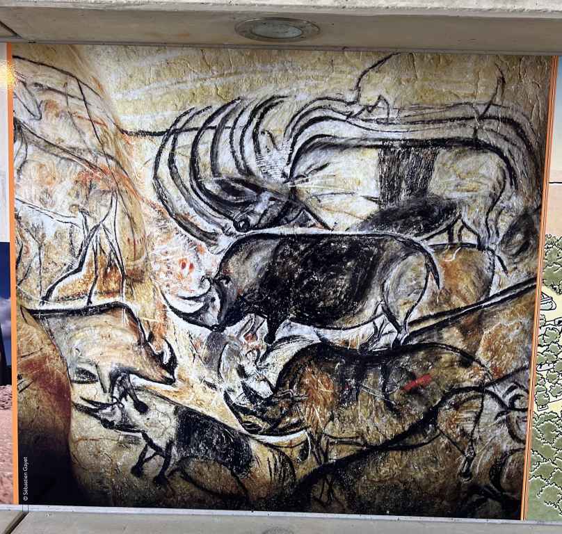 Wandmalerei in der Chauvet-Höhle 
